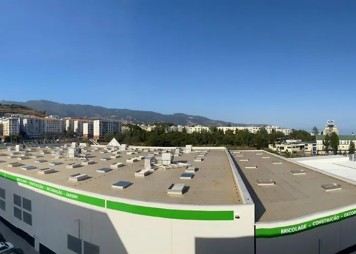 Oliveira * Funchal (Madeira)